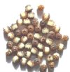 50 6mm Cathedral Opaque Cream with Topaz Coated Ends